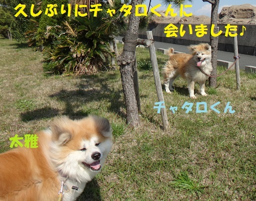 f0121712_15213037.jpg