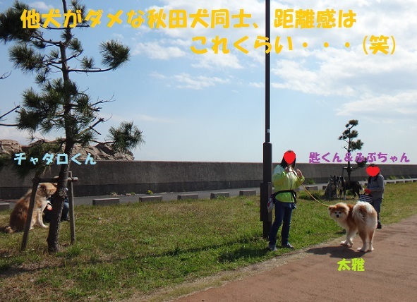 f0121712_15213604.jpg
