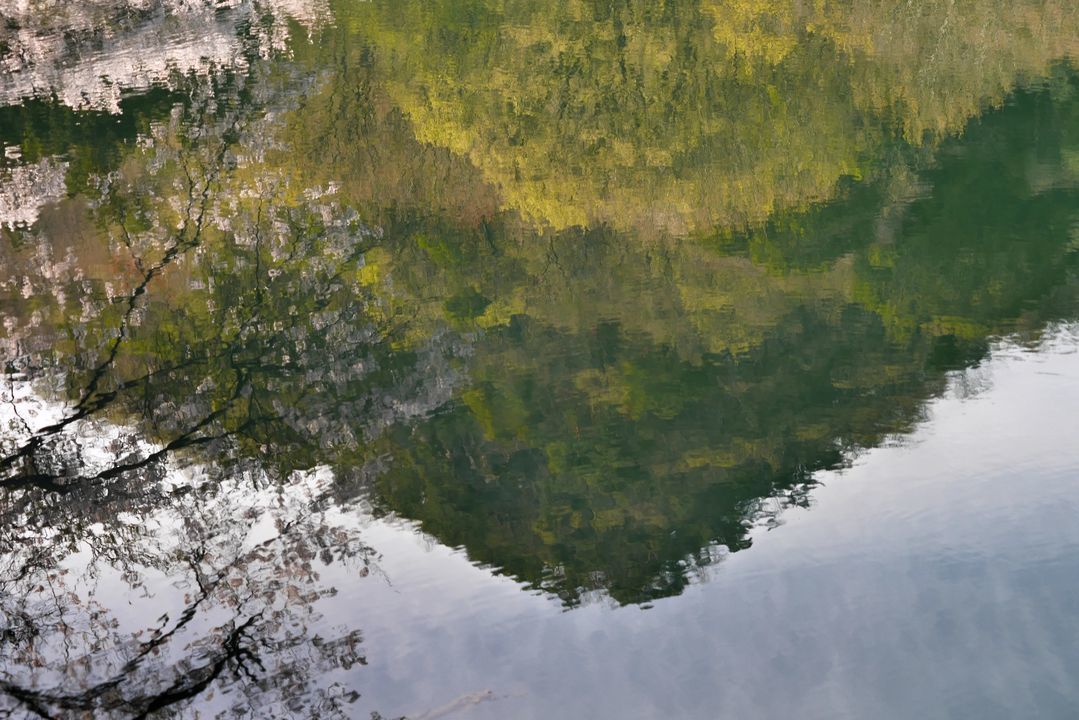 a0031821_20285851.jpg