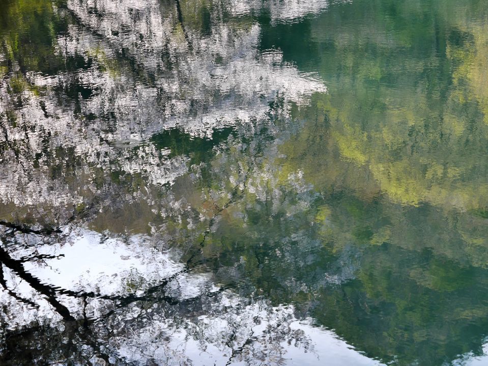 a0031821_20383661.jpg