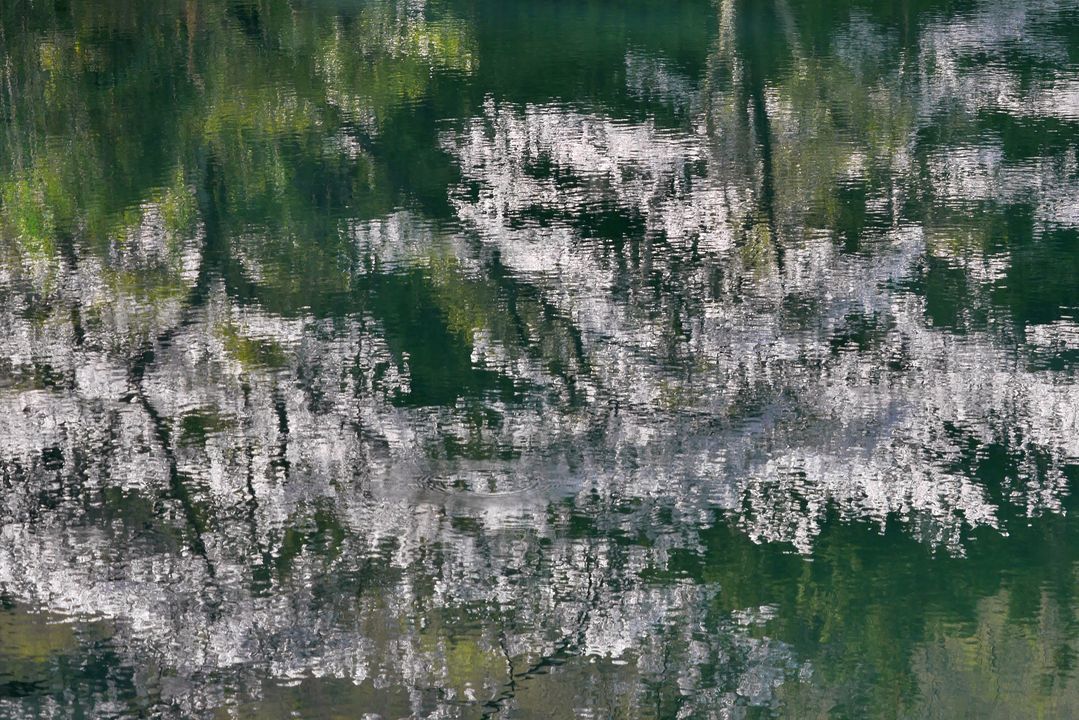 a0031821_20460747.jpg