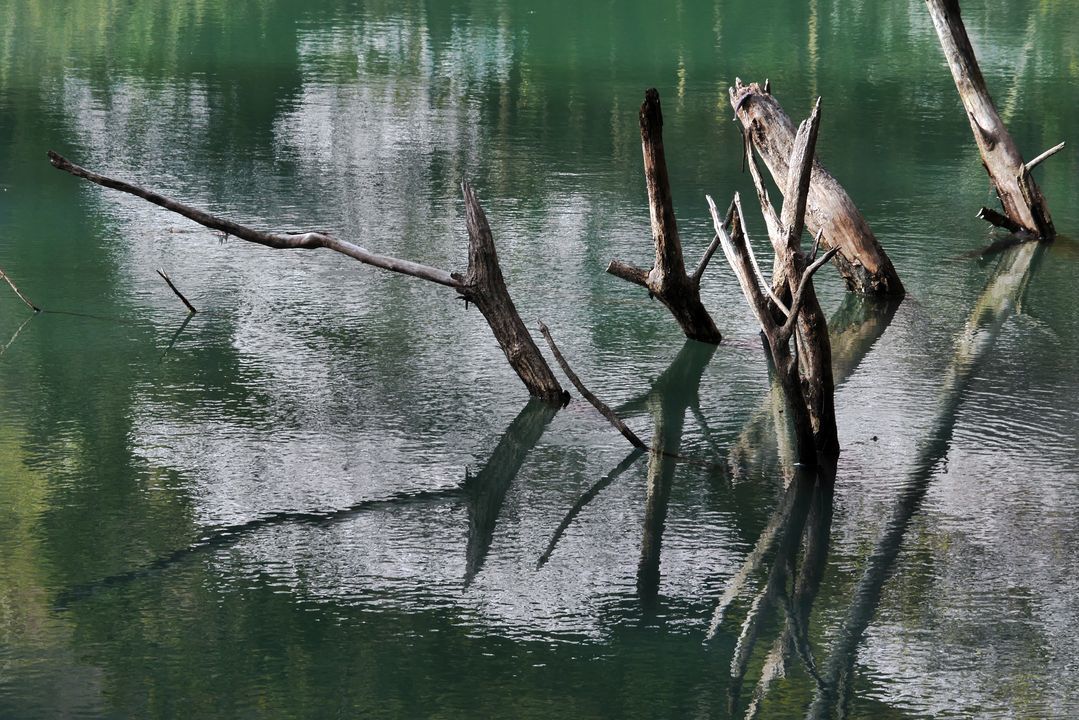 a0031821_20523302.jpg
