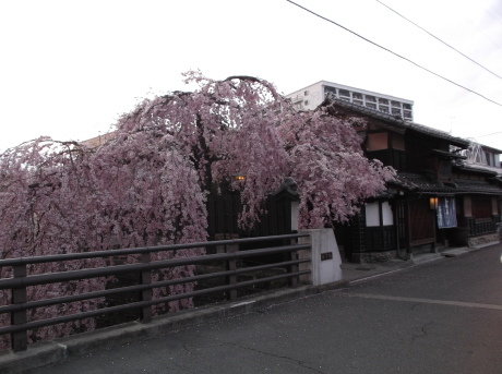 d0250123_20134431.jpg