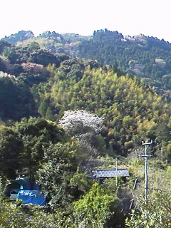 f0036223_11323356.jpg