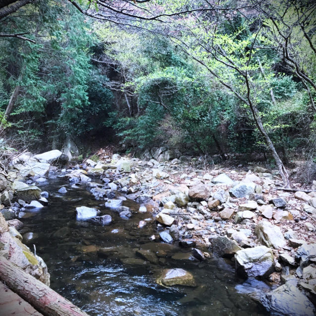 d0355333_16103997.jpg