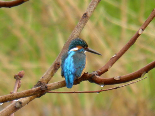 c0338136_22274442.jpg