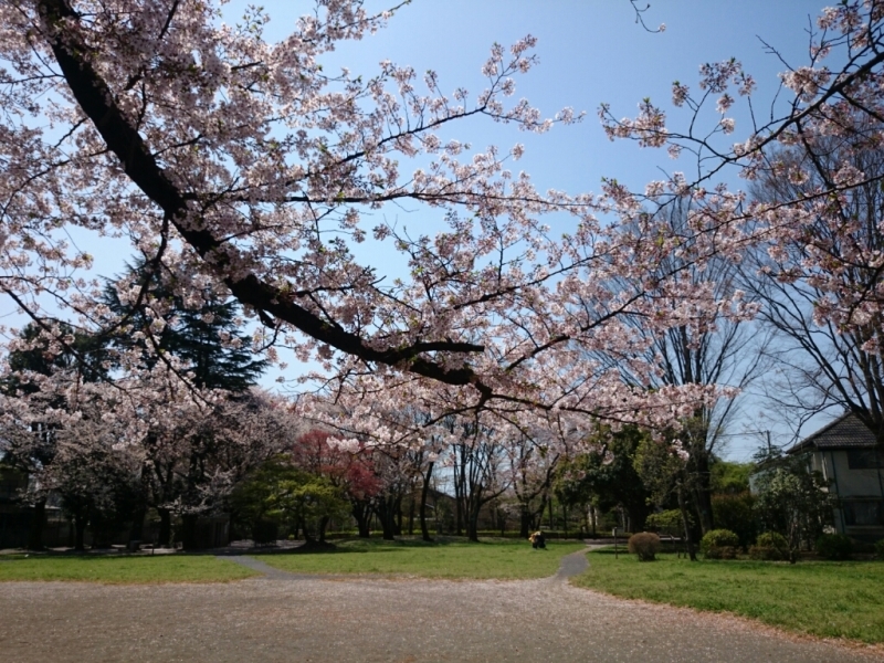 e0263536_14141936.jpg