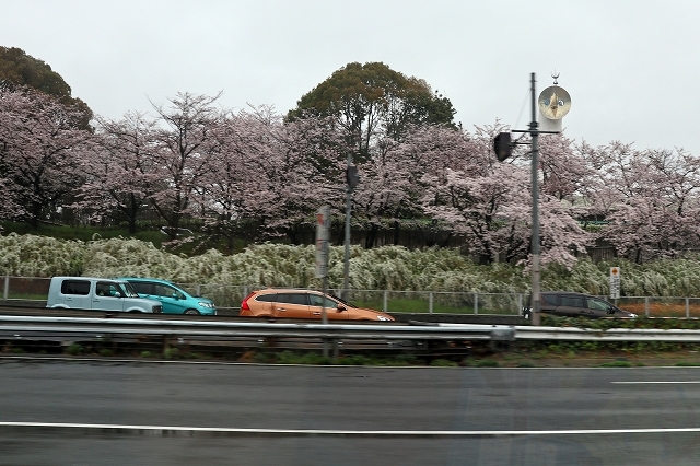a0242438_19204938.jpg