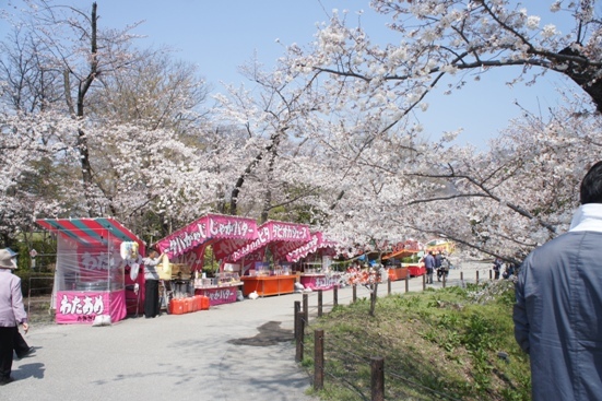 f0368538_17041950.jpg