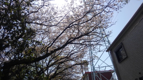f0210439_23295672.jpg