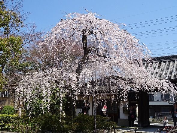 b0299042_07204790.jpg