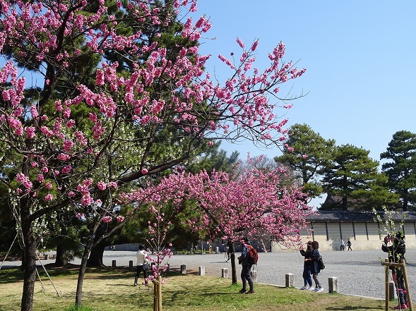 b0299042_20041356.jpg