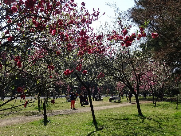 b0299042_20053780.jpg