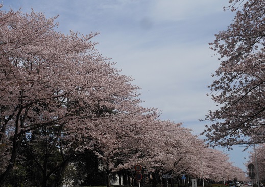 c0026843_212494.jpg