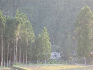 a0054948_2362910.jpg