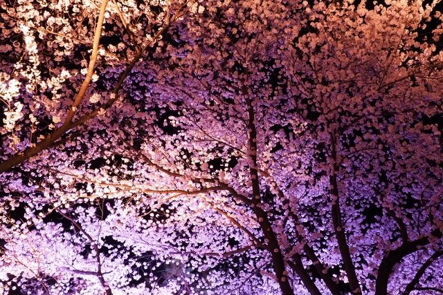b0189948_1201455.jpg