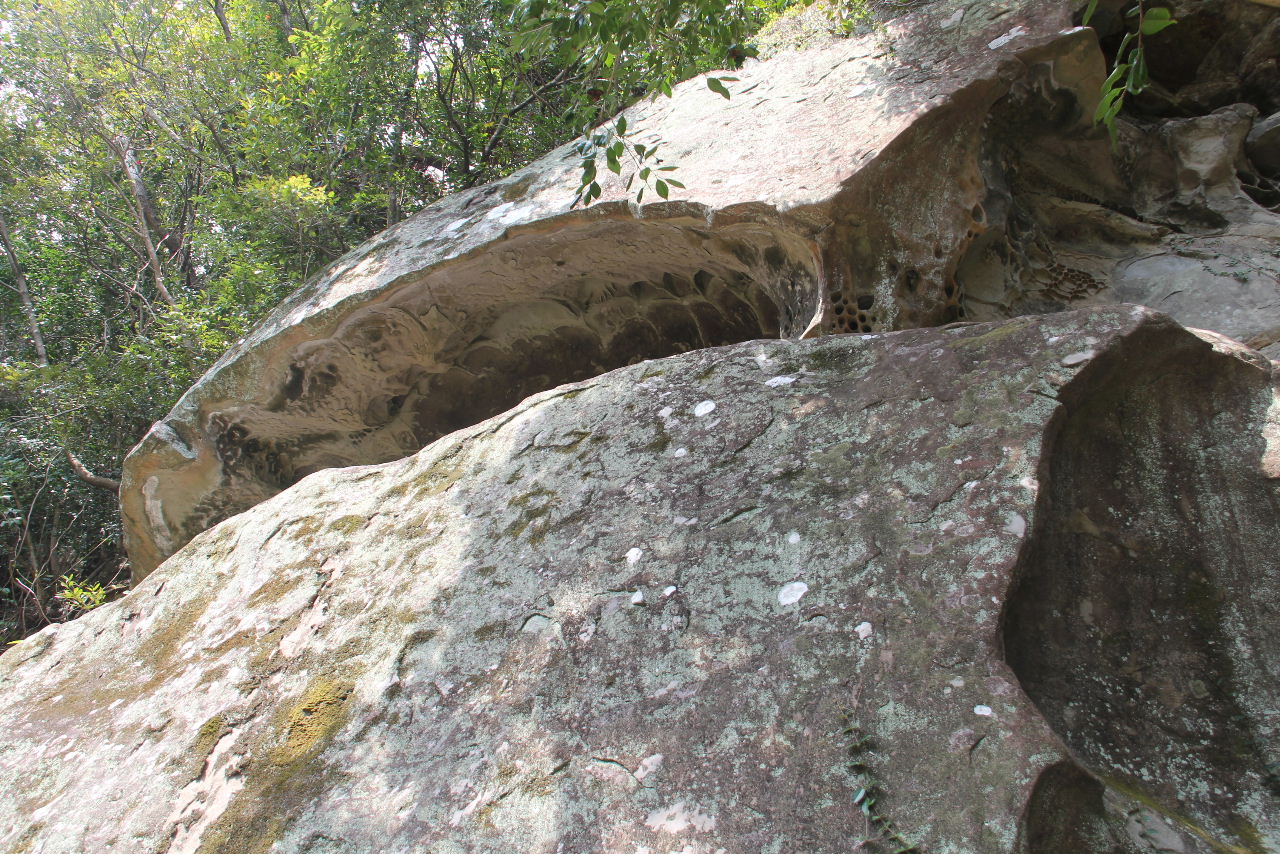 c0011649_1083276.jpg