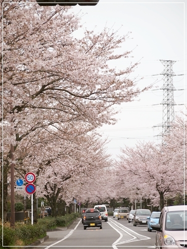 d0013149_23492609.jpg