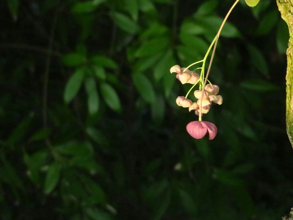 a0018655_14004489.jpg