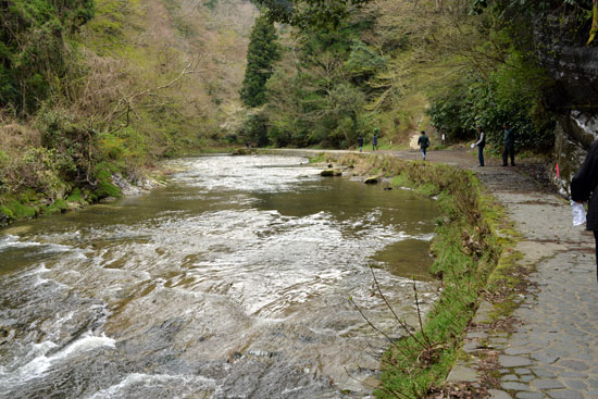 b0016557_1714060.jpg