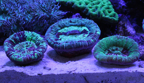 c0165758_03483209.jpg