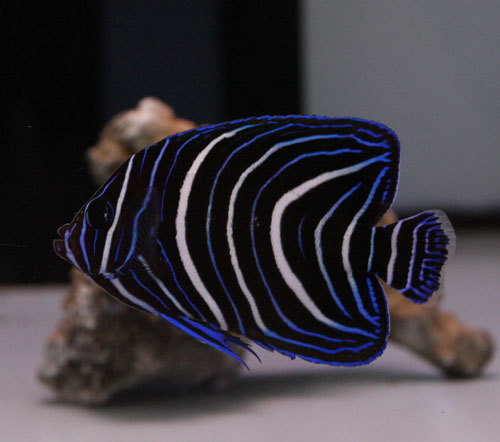 c0165758_03491252.jpg