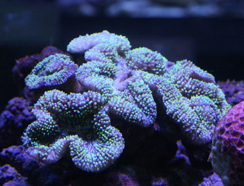 c0165758_03500001.jpg