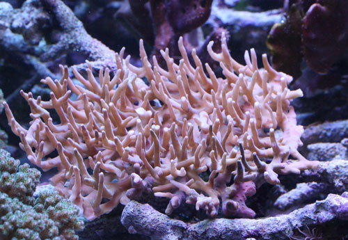 c0165758_03505491.jpg