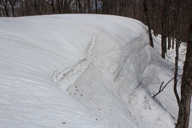 e0239458_20081174.jpg