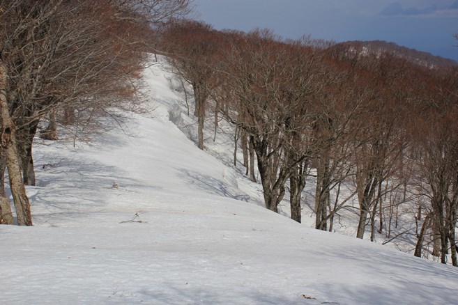 e0239458_20115716.jpg