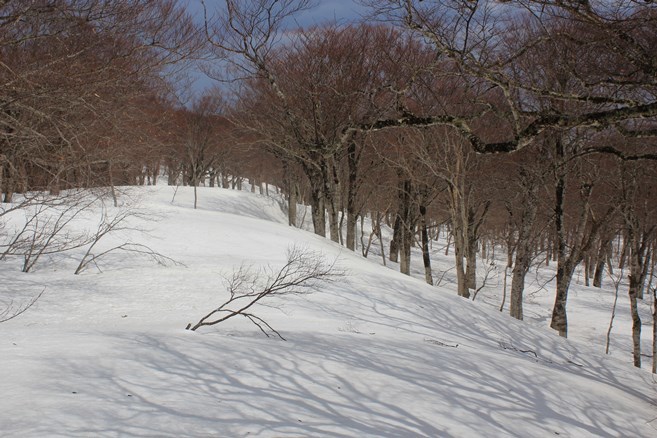e0239458_20115742.jpg