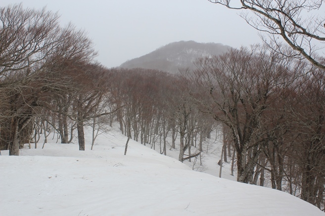 e0239458_20120630.jpg