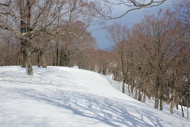 e0239458_20220670.jpg