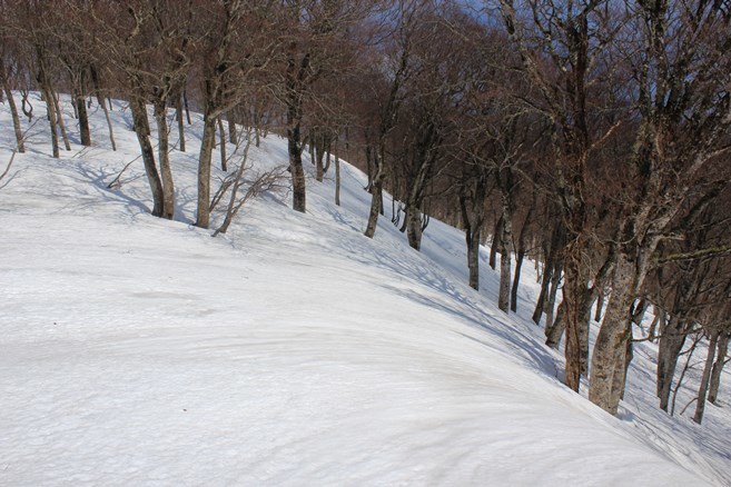 e0239458_20220703.jpg