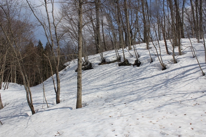 e0239458_20252206.jpg