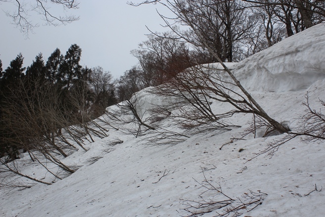 e0239458_20252253.jpg