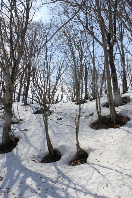 e0239458_20284636.jpg