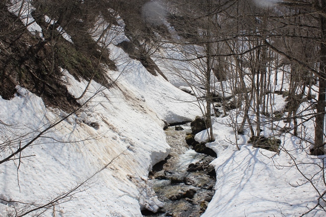 e0239458_20285063.jpg