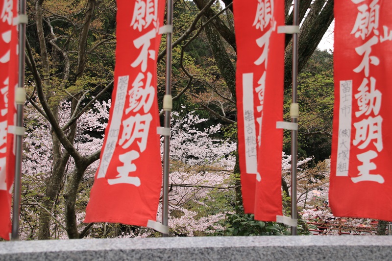 a0167759_1694846.jpg