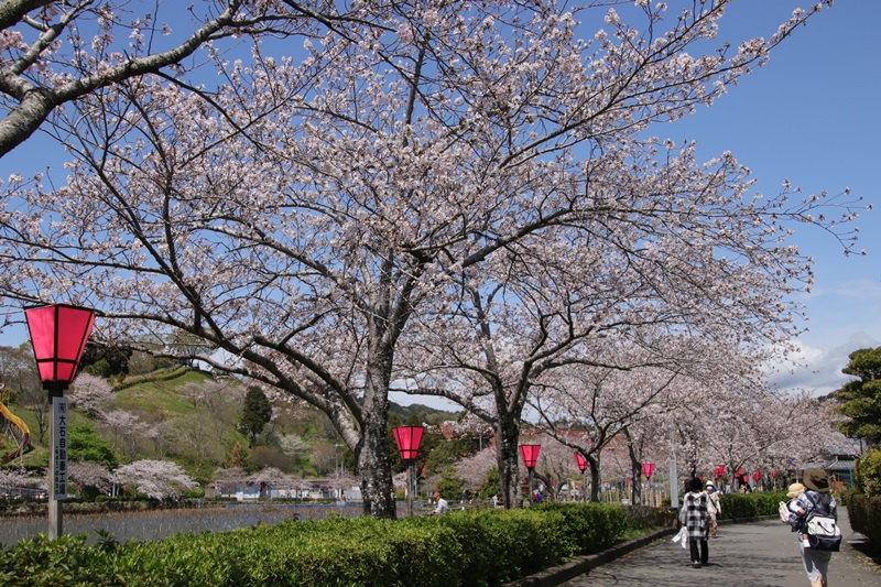 a0167759_22224082.jpg