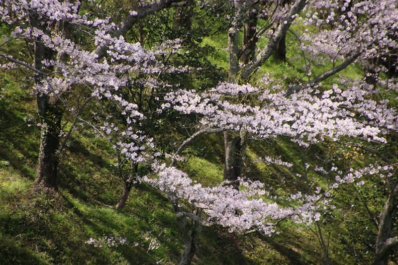 a0167759_22273660.jpg