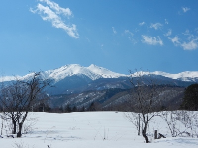 d0226767_14263389.jpg