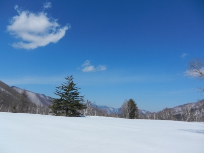 d0226767_14271375.jpg
