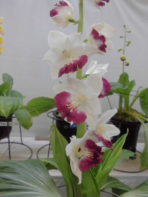 f0318967_22474401.jpg