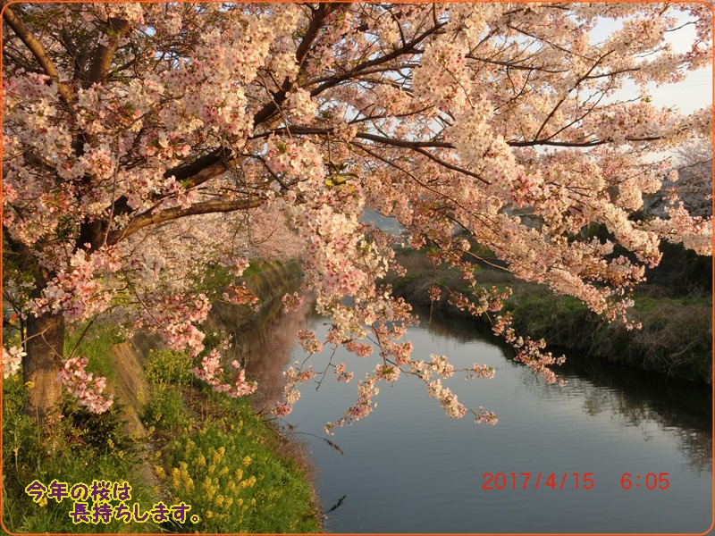 d0007071_22352159.jpg
