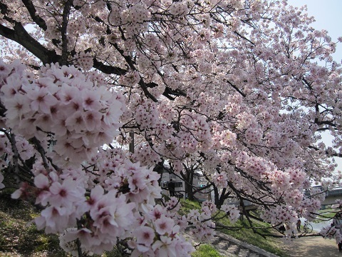 b0194872_07304431.jpg