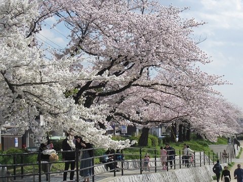 b0194872_07312445.jpg