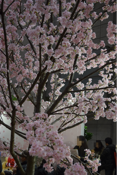 b0242873_10161665.png