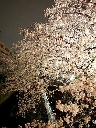 e0200073_21545165.jpg