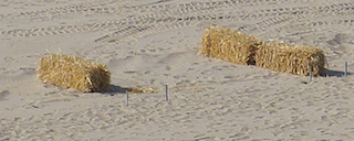 c0197980_04105825.png